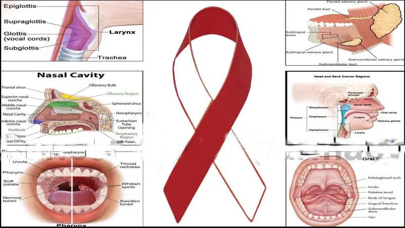 This study will perfect your knowledge of Head and Neck Cancer Read or Miss Out