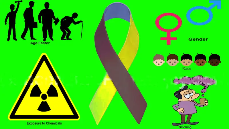 What You Should Know About Bladder Cancer