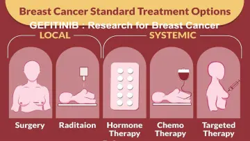 The Effects of Gefitinib in EGFR Mutation Breast Cancer