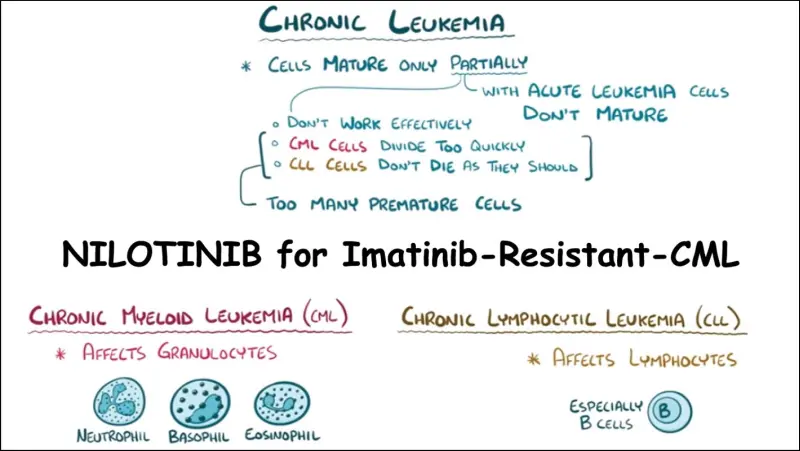 Nilotinib as an alternate medication for Imatinib Resistant CML