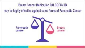 Breast Cancer Medication Palbociclib may be highly effective against some forms of Pancreatic Cancer