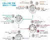 Heparin Sodium Side Effects: Comprehensive Guide