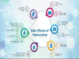 Pertuzumab (Perjeta) Side Effects: What You Need to Know