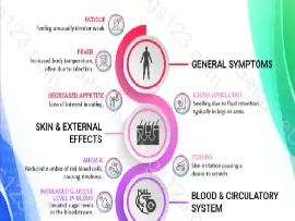 Bosutinib (Bosulif) Side Effects: What to Watch For