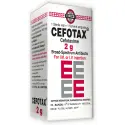 buy genuine drugs generic cefotaxime sodium 2g 5ml vial
