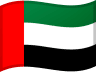uae flag icon